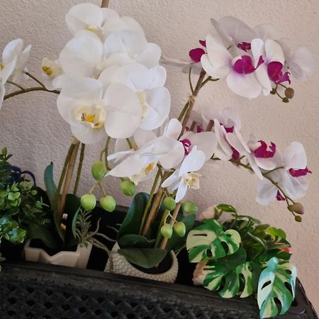 Alloggio Orchidea Монфальконе Екстер'єр фото